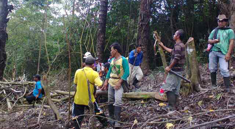 Sumber Mata Air Terancam, Wabup Minta Dishut Tinjau Lokasi Pembalakan
